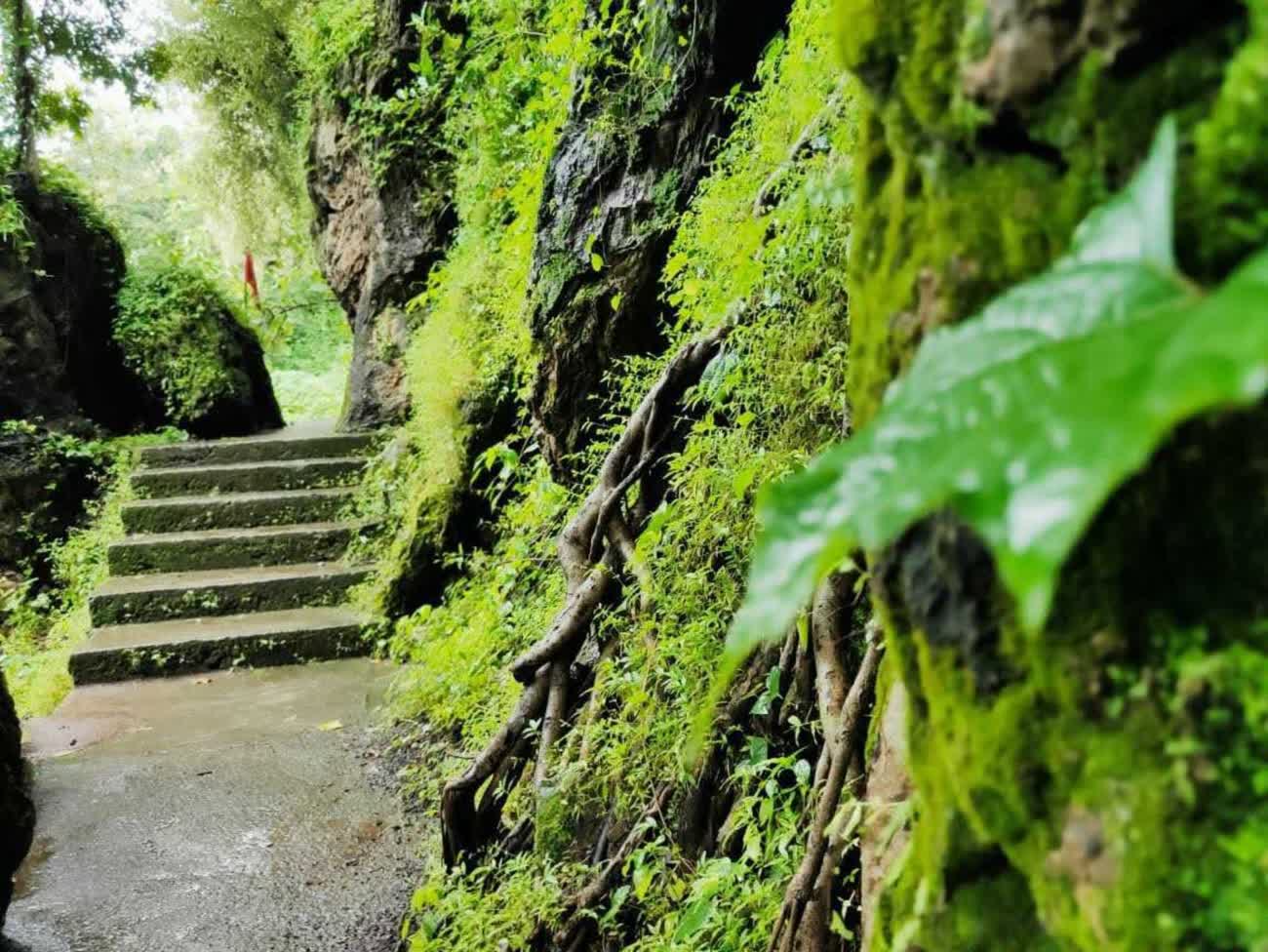A narrow stone path with steps winding between mossy rocks