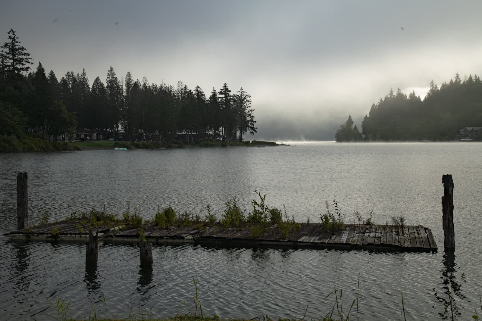 Morning mist drifting over a quiet lake edged with evergreen trees
