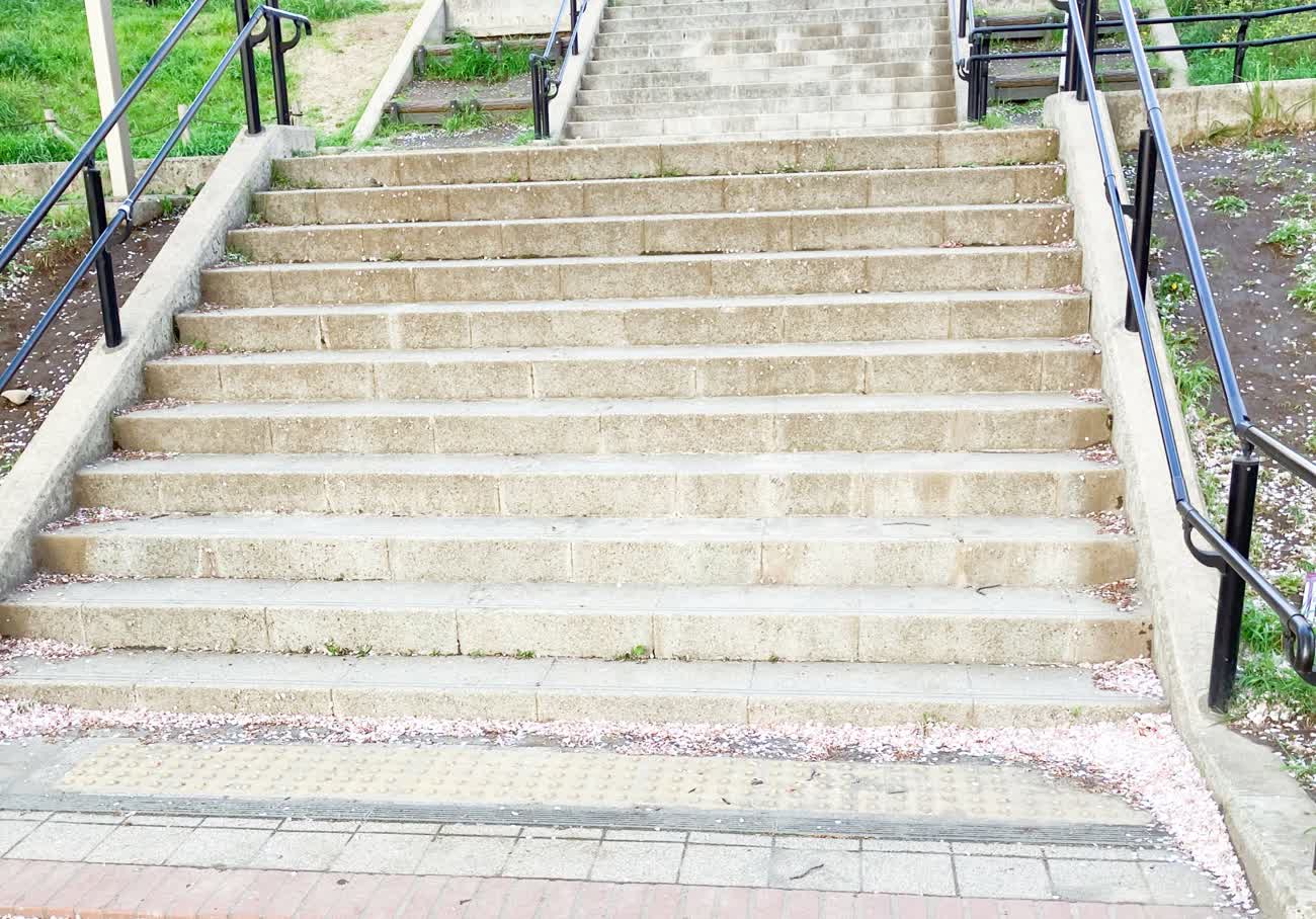 A wide concrete staircase with railings, scattered with fallen petals
