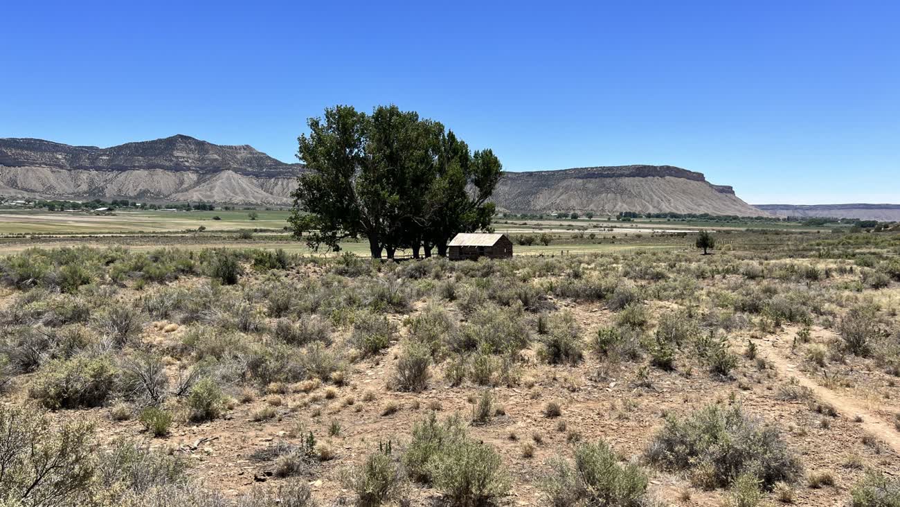 A weathered abandoned wooden cabin under trees in an open desert valley